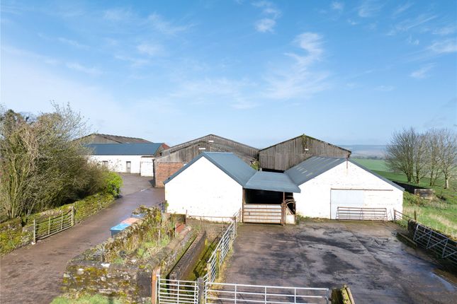 Land for sale in Hightown Of Tinwald Farm, Lochmaben, Lockerbie, Dumfriesshire
