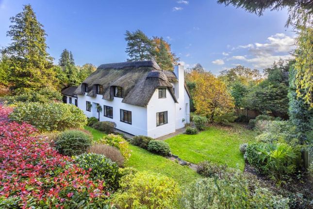 Thumbnail Detached house to rent in Fireball Hill, Ascot
