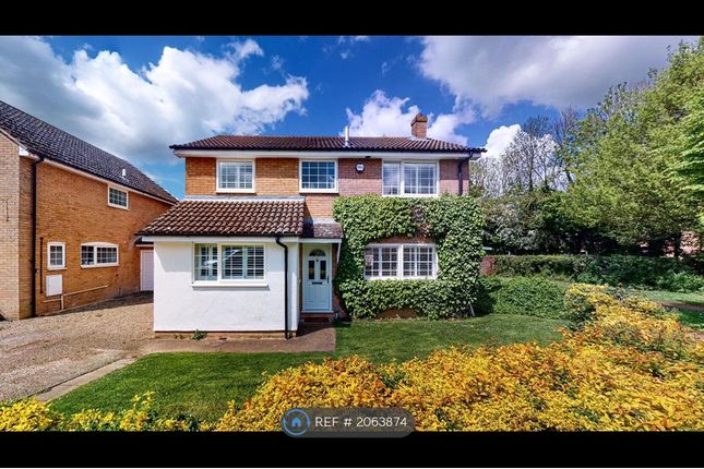 Detached house to rent in Seven Acres, Longfield, Kent
