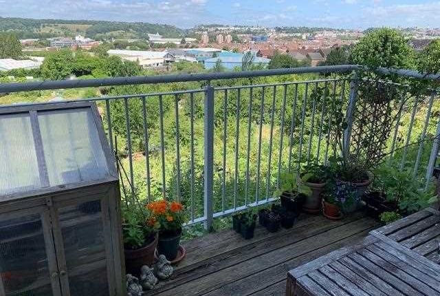 11, Clifton View,, Bristol photo 4