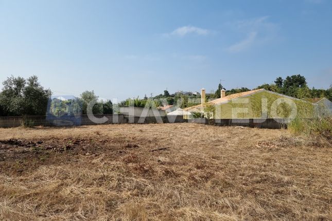 Land for sale in Junceira, Serra E Junceira, Tomar