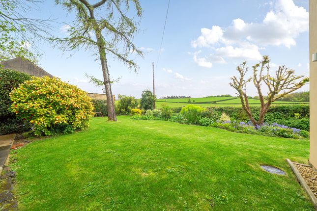 Apple Tree Cottage, Catherine Hill, Olveston photo 2