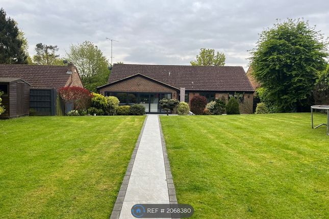 Bungalow to rent in Brentwood, Brentwood