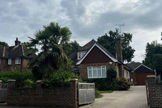 Thumbnail Detached bungalow for sale in Halsford Park Road, East Grinstead