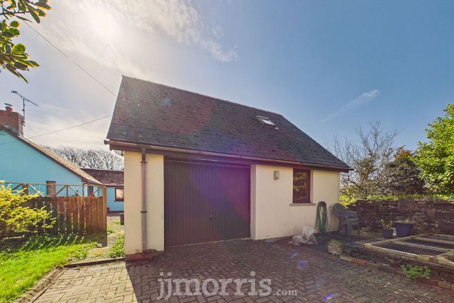Can Y Gog, Clynderwen photo 4