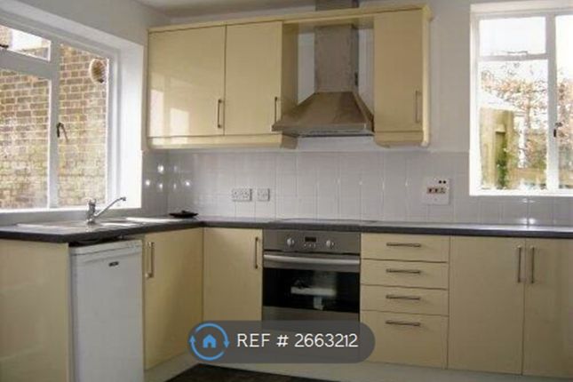 Woodhatch Spinney, Coulsdon photo 5