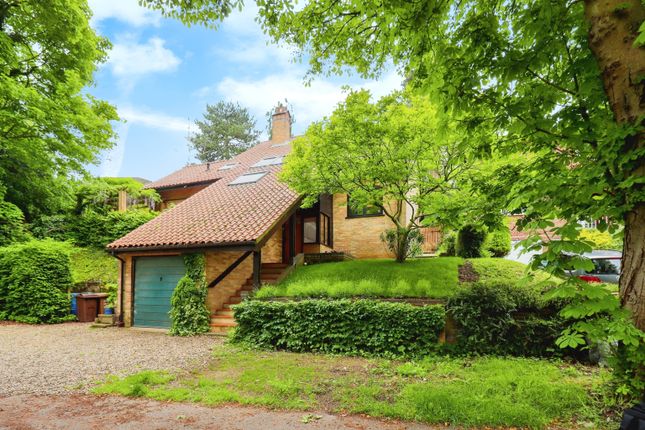 Thumbnail Detached house for sale in Wellesley Avenue South, Norwich