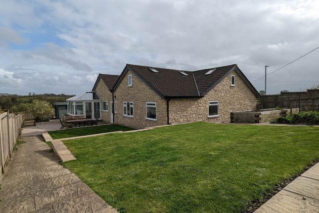 Thumbnail Detached bungalow for sale in High Street, Buckland Dinham