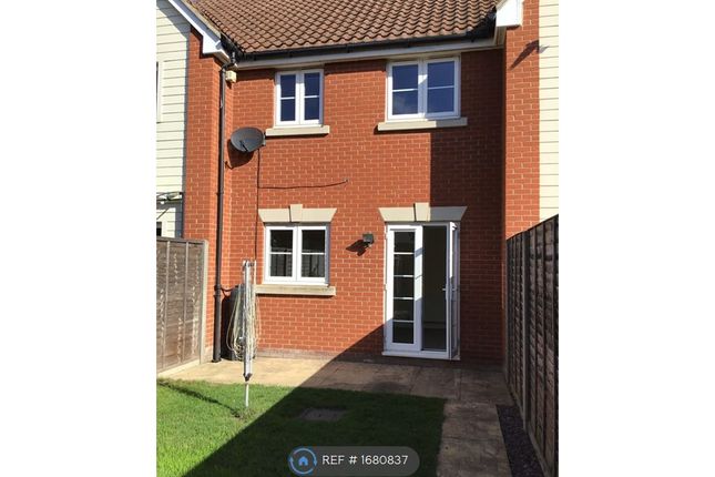 Thumbnail Terraced house to rent in Ipswich, Ipswich