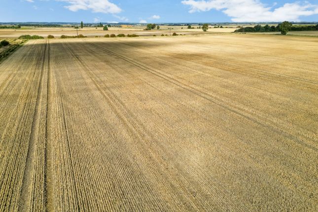 Land At Morton Fen | Lot 1,, Land At Morton Fen, Bourne photo 3