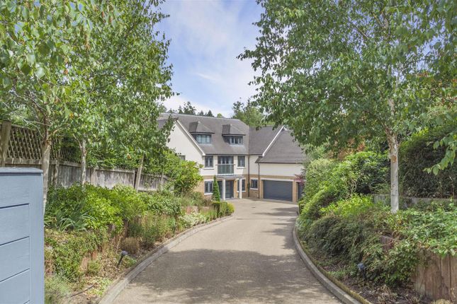 Driveway.Jpg