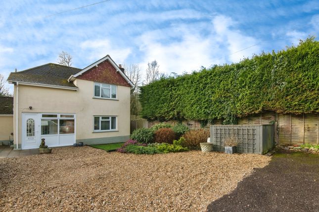 Thumbnail Detached house for sale in Wilmington, Honiton