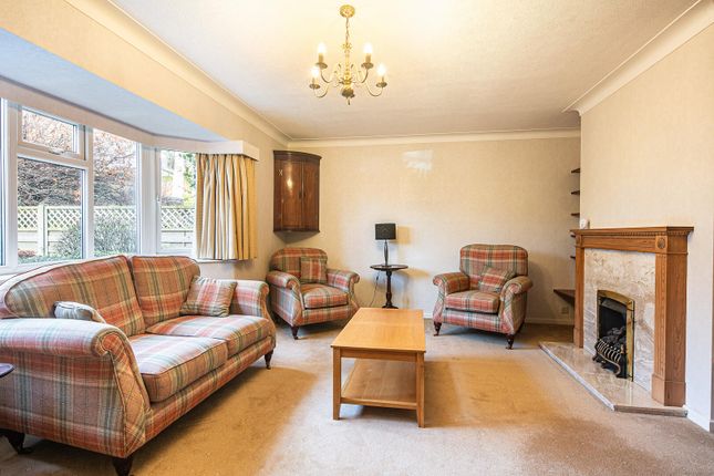 104, Tom Lane, Sheffield photo 4