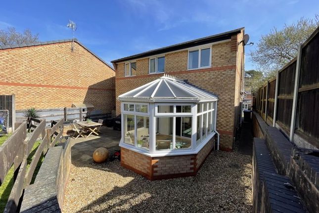 Rear Elevation