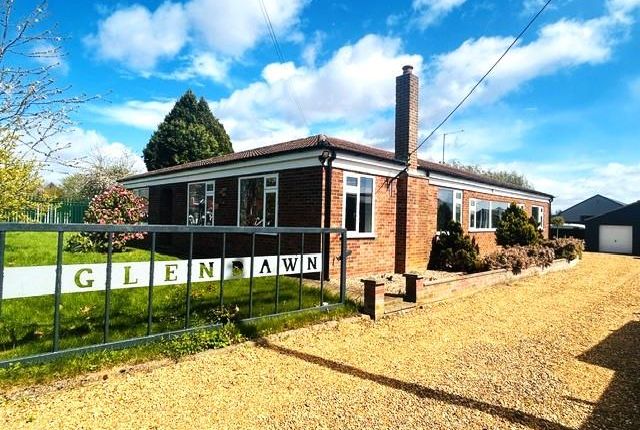 Thumbnail Detached bungalow to rent in Smeeth Road, Marshland St. James, Wisbech