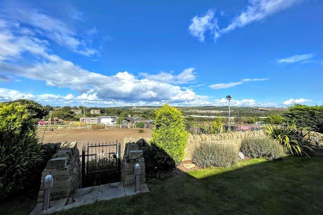 6, The Rambles, Barnsley photo 4