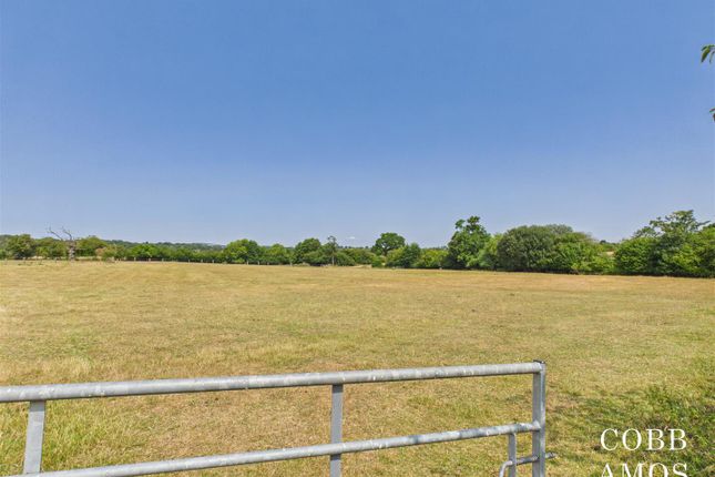 Clee View, Upper Easton Farm, Leysters photo 4