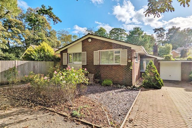 Bungalow for sale in Nepcote Lane, Findon, Worthing, West Sussex