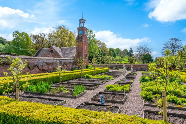 Kitchen Garden