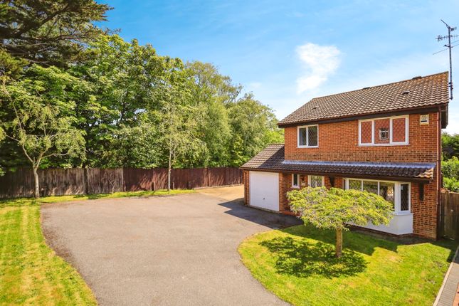 Thumbnail Detached house for sale in Oaklands, Pevensey