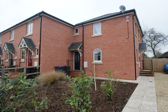 Thumbnail Flat to rent in Elston Lane, Shrewton