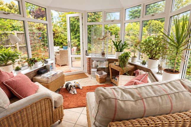 49, Frinton Road, Thorpe-le-Soken photo 3