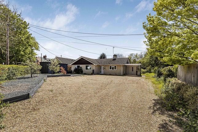 Thumbnail Detached bungalow for sale in Newmarket Road, Cheveley, Newmarket