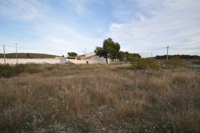 Thumbnail Land for sale in 30529 Cañada Del Trigo, Murcia, Spain