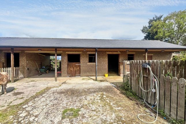 Grange Villa Farm, Ulgham, Morpeth photo 3