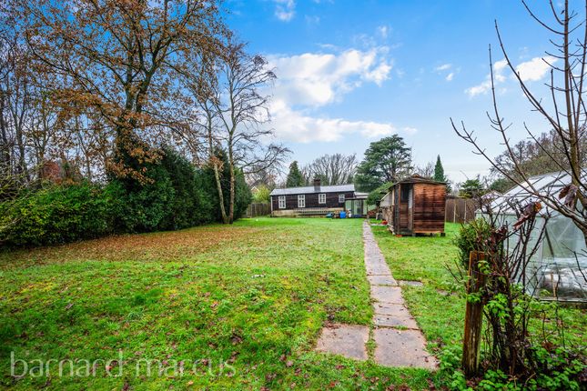 Detached bungalow for sale in Horsham Road, Beare Green, Dorking