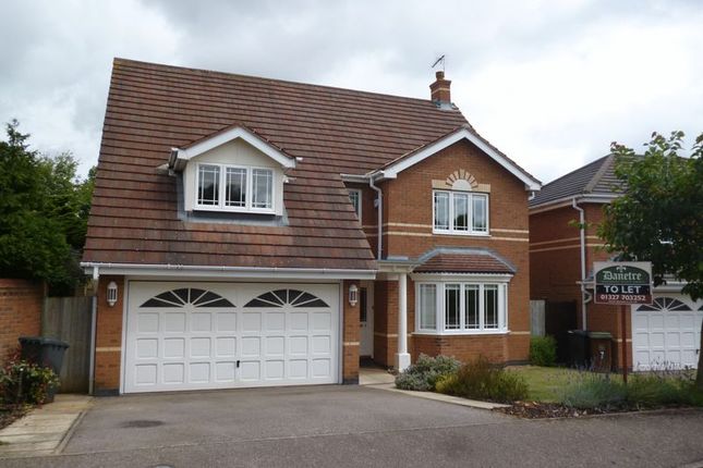 Thumbnail Detached house to rent in Stafford Close, Daventry