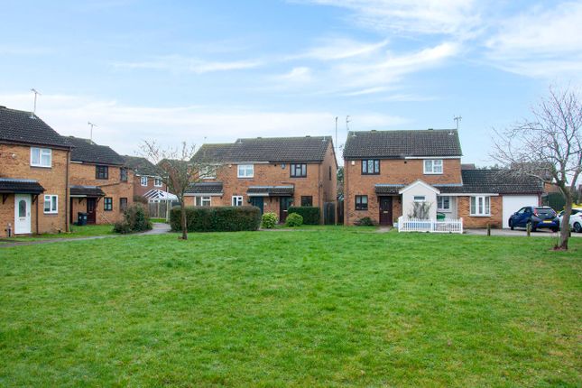 6, Raphael Drive, Chelmsford photo 3
