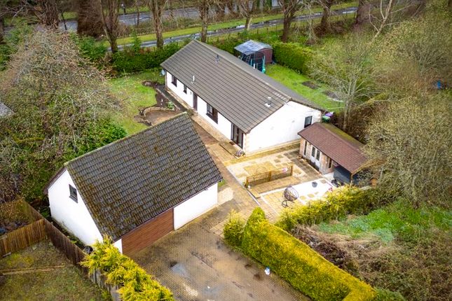 Thumbnail Detached bungalow for sale in Karvin Cottage, North Street, Newtyle