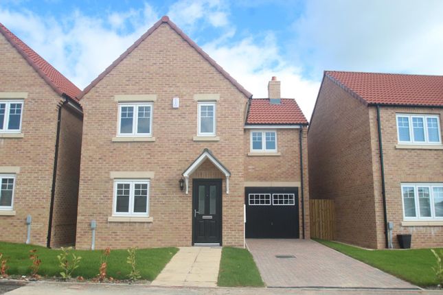 Thumbnail Detached house to rent in Scampston Drive, Beckwithshaw, Harrogate, North Yorkshire, UK