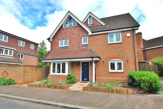 Thumbnail Detached house to rent in Forster Road, Guildford, Surrey