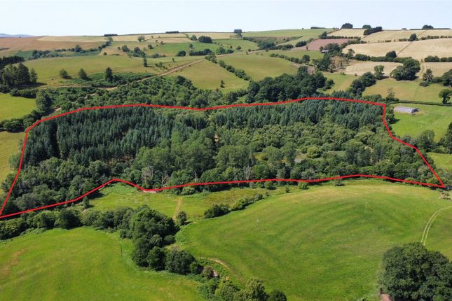 Thumbnail Property for sale in Pentrebach, Brecon, Powys