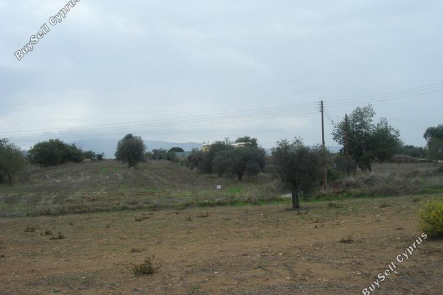 Land for sale in Polemi, Paphos, Cyprus