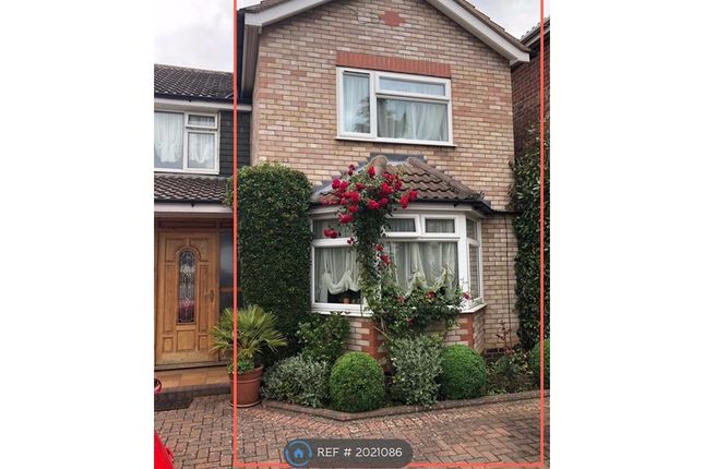 Thumbnail Semi-detached house to rent in Uplands Road, Oadby, Leicester
