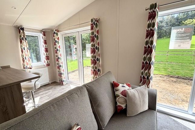 Love Mountview Lodge, Akebar Park Country Park, Leyburn photo 3