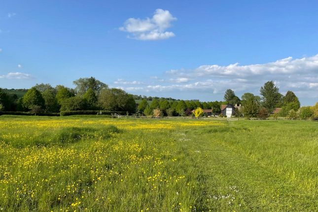 Meadow