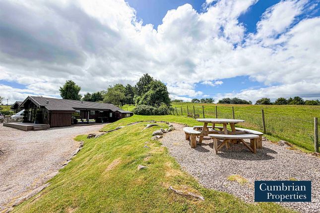 10, Glendowlin Lodges, Penrith photo 4