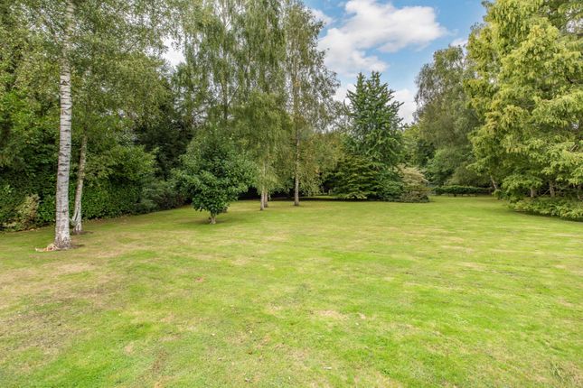 Detached house for sale in Hambrook Lane, Chilham, Kent