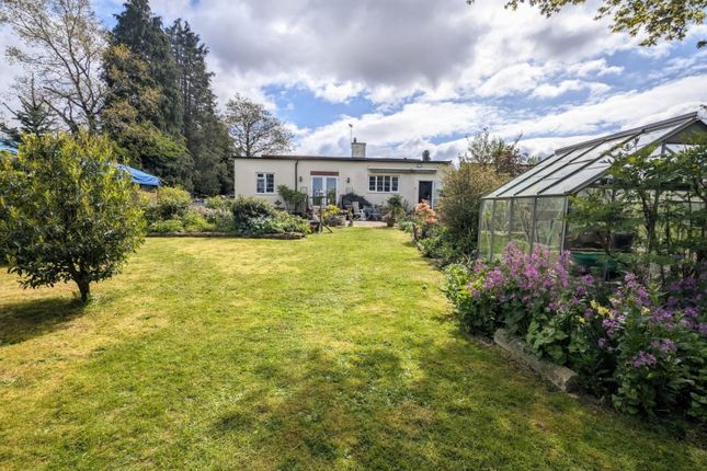 Detached bungalow for sale in Mill Lane, Headley, Hampshire