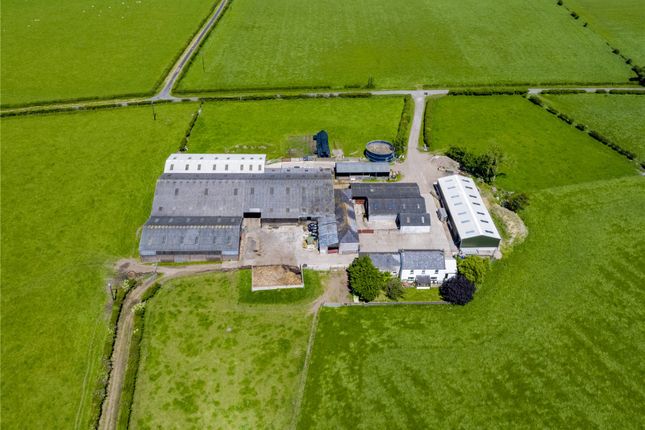 Thumbnail Property for sale in Longtown, Carlisle
