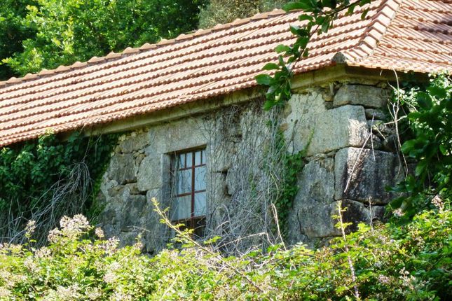 Thumbnail Country house for sale in House In Ruins With A Farm, Agualonga, Paredes De Coura, Viana Do Castelo, Norte, Portugal