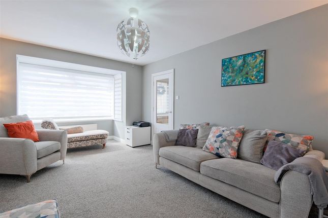 18, Spruce Avenue, Hamilton photo 4