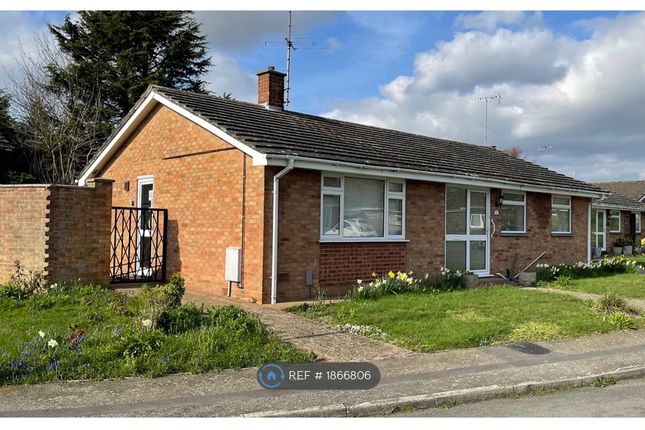 Thumbnail Bungalow to rent in Aldous Close, East Bergholt, Colchester