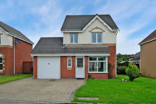 Front Exterior (With Single Garage)