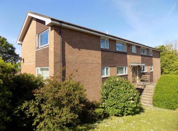 Thumbnail Flat to rent in The Marles, (Hillside Court), Exmouth