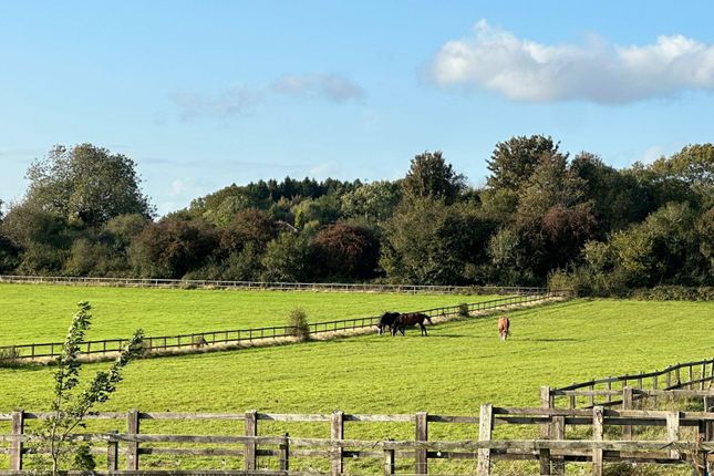 Land for sale in Homestead Road, Medstead, Alton, Hampshire